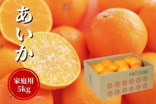 <img class='new_mark_img1' src='https://img.shop-pro.jp/img/new/icons16.gif' style='border:none;display:inline;margin:0px;padding:0px;width:auto;' />(Ȥޤɤ)  5 