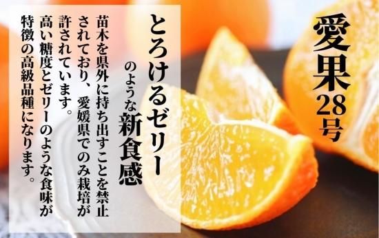 あいか・はれひめ食べ比べ箱 家庭用 5kg 【送料込】 - みかん×みかん