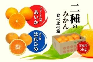 <img class='new_mark_img1' src='https://img.shop-pro.jp/img/new/icons16.gif' style='border:none;display:inline;margin:0px;padding:0px;width:auto;' />ϤҤῩȢ  5kg 