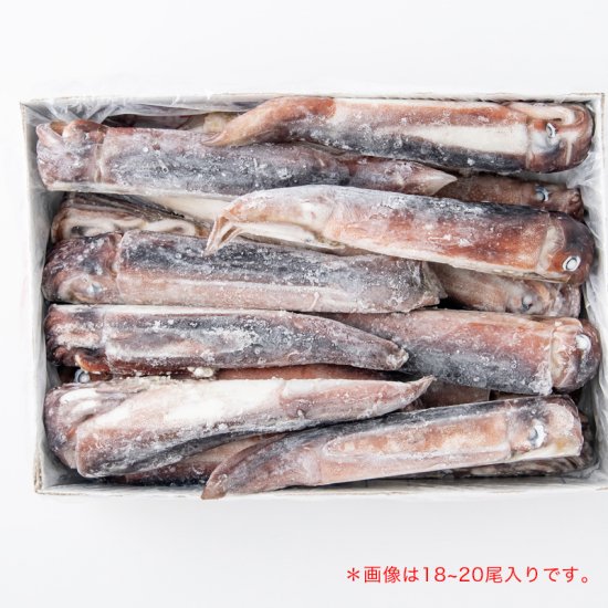 【業務用】冷凍スルメイカ１箱 約８ｋｇ23-25北海道・青森産 するめいか 烏賊