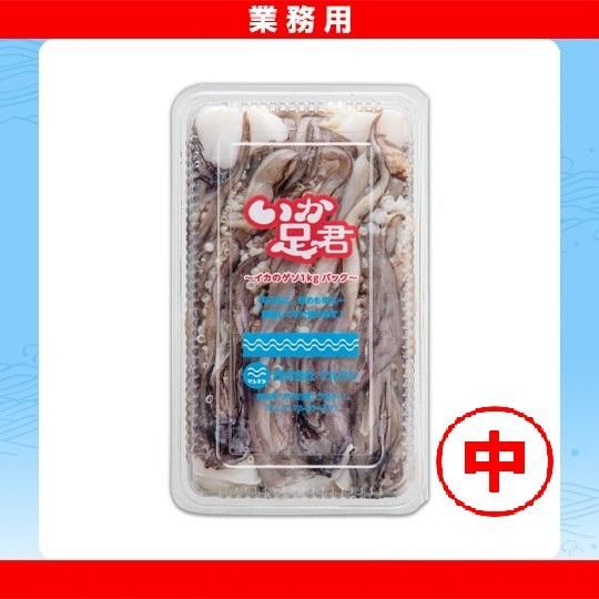 イカ その生物から消費まで (二訂版)(奈須敬二ほか編 ) / 天牛