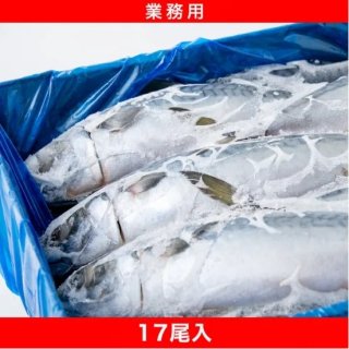 【青森県・八戸産】冷凍マサバ　10kg　17尾　1尾約588g