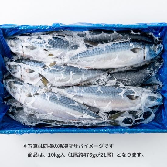 北海道産】冷凍マサバ 10kg 21尾 1尾約476g - マルヌシ
