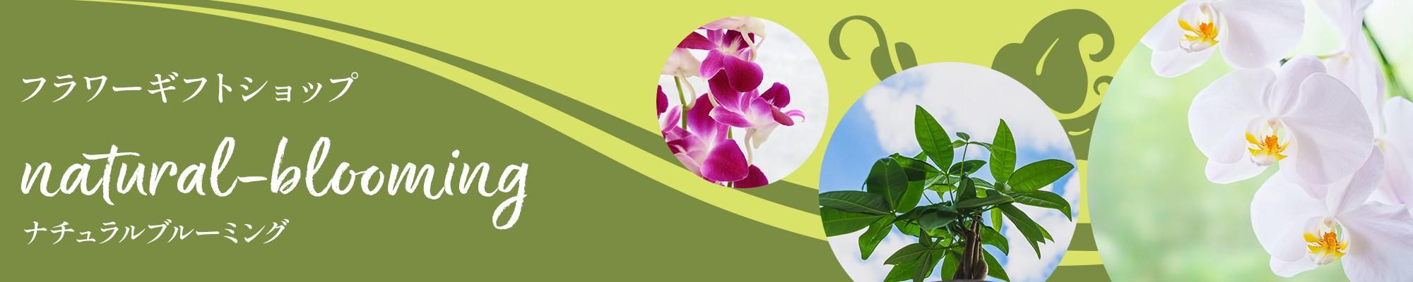 natural-bloomingʥʥ֥롼ߥ󥰡