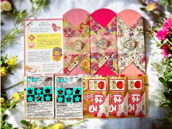 高級リバティ布なぷきん「おまたカイロセット」 - 魔女の花便り