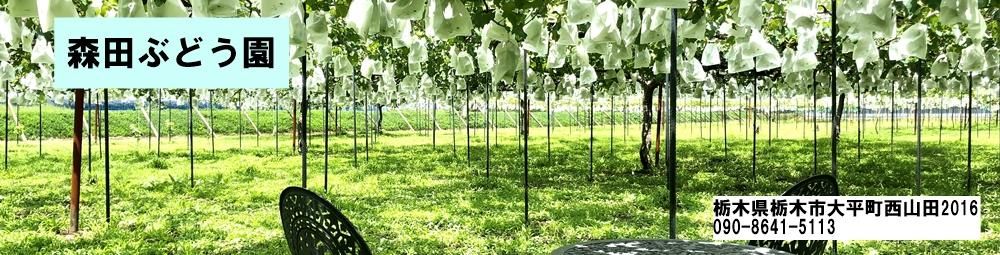 あずましずく　角田 349682.jpg