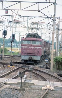 EF8032号機 貨物列車 常磐線内原 昭和58 1983