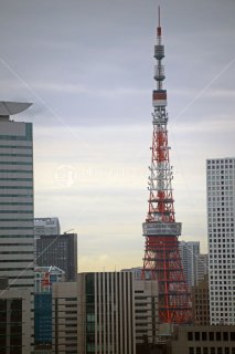 東京タワー遠望 平成25年