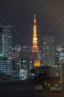 東京タワー 夜景 平成25年