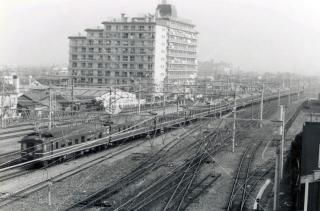 ʿ õ ߤ 55ǯ1980