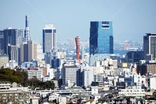 ٻ ͥݡȥ˾