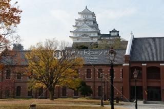 ɱϩΩѴۤ鸫ɱϩ ʿ26ǯ
