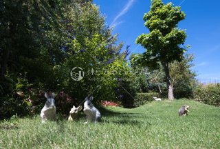 メルヘンの庭 ウサギ ハリネズミ 羊 舞多聞