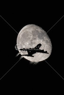 月と飛行機� Airbus