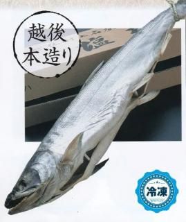 <img class='new_mark_img1' src='https://img.shop-pro.jp/img/new/icons25.gif' style='border:none;display:inline;margin:0px;padding:0px;width:auto;' />20_村上名産 塩引鮭  切身