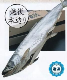 <img class='new_mark_img1' src='https://img.shop-pro.jp/img/new/icons25.gif' style='border:none;display:inline;margin:0px;padding:0px;width:auto;' />21_村上名産 塩引鮭