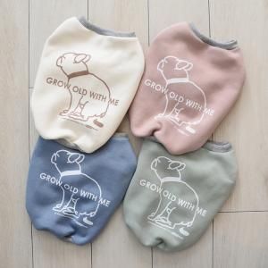 ڣǯǰʡۥǥסΡ꡼֡ȥ졼ʡ