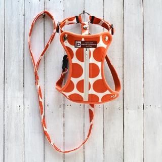 ڣOFF!!롼µǰCOOL WALKER [NYLON] 2019 ɥå/󥸡ۢS<img class='new_mark_img2' src='https://img.shop-pro.jp/img/new/icons34.gif' style='border:none;display:inline;margin:0px;padding:0px;width:auto;' />
