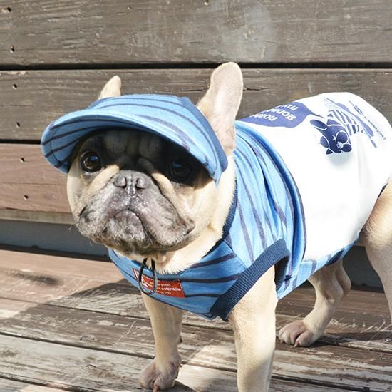 French Bull｜コパンキャップ・36-09231 - French Bull(フレンチ