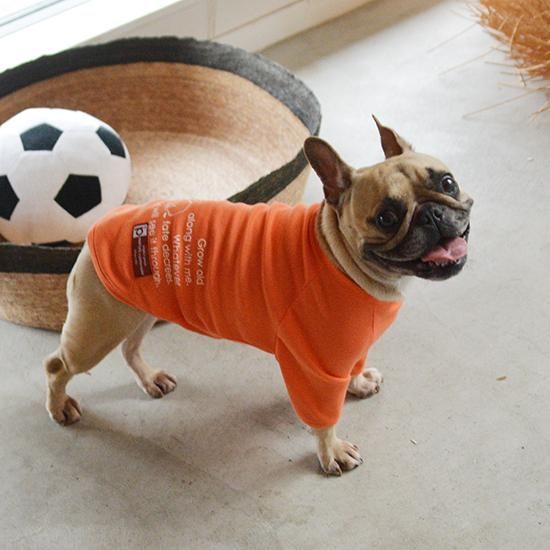 MANDARINE BROTHERS ドッグウェア 犬 小型犬 服 接触冷感 被毛