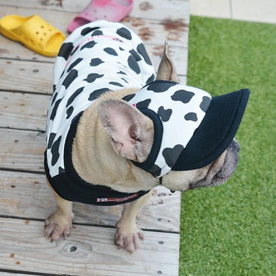 キャップ【ウシさん】（ブラック） - フレンチブルドッグ服の
