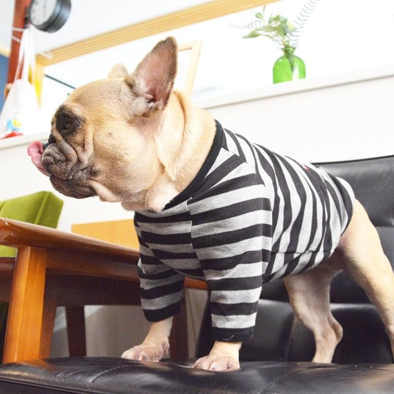 totomamさま専用　フレブル服　グレー♡表起毛ラグランニット　ハンドメイド totomamさま専用 フレブル服 グレー♡表起毛ラグランニット