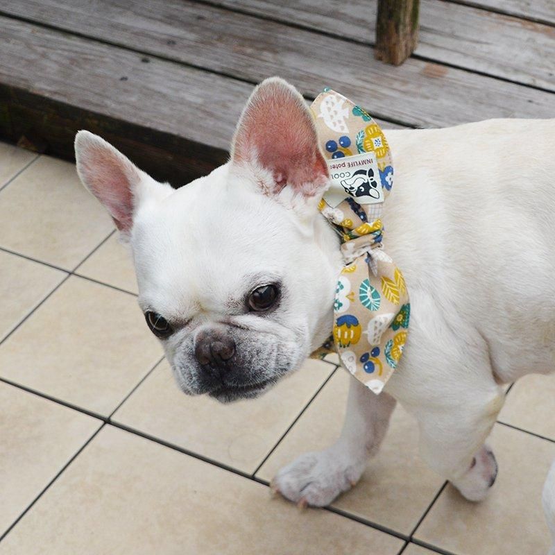 COOLTIE 2024【花と木の実と小鳥さん／ベージュ】 - フレンチ