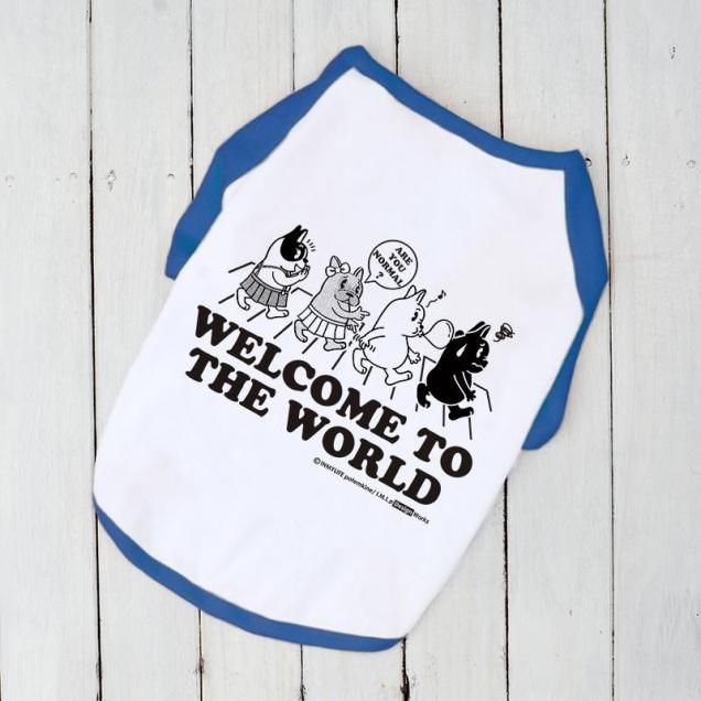 ڥߥå#6WELCOME TO THE WORLD 饰Ⱦµġʥ֥롼<img class='new_mark_img2' src='https://img.shop-pro.jp/img/new/icons1.gif' style='border:none;display:inline;margin:0px;padding:0px;width:auto;' />