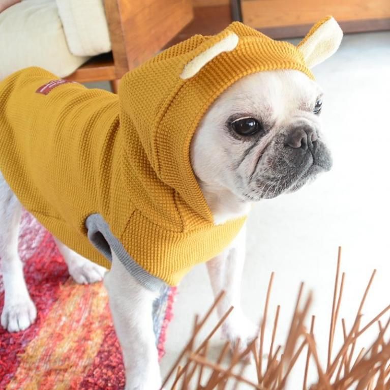 犬服　ハンドメイド　人気のくすみカラー♪ ワッフルニットのパーカータンクトップ k-city_md99241