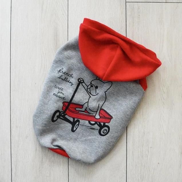 ڥȥ졼ʡϤˤʤä衪ۥ若˾äե֥롡åȥѡʥ졼<img class='new_mark_img2' src='https://img.shop-pro.jp/img/new/icons1.gif' style='border:none;display:inline;margin:0px;padding:0px;width:auto;' />