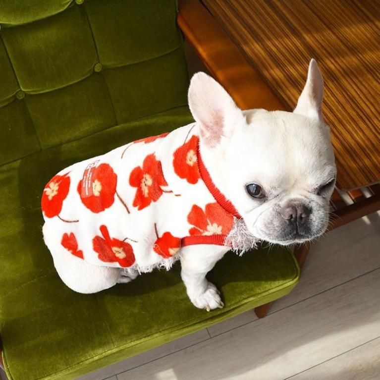 フレンチブルドッグ服のINMYLIFE potemkine