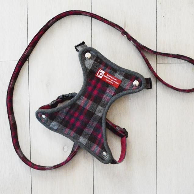 ѥϡͥ󥿡 2026 ڥå/졼ߥ꡼<img class='new_mark_img2' src='https://img.shop-pro.jp/img/new/icons1.gif' style='border:none;display:inline;margin:0px;padding:0px;width:auto;' />