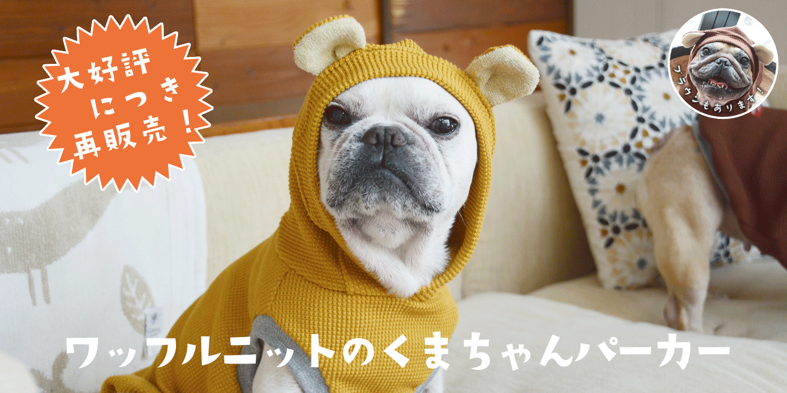 フレンチブルドッグ服のINMYLIFE potemkine