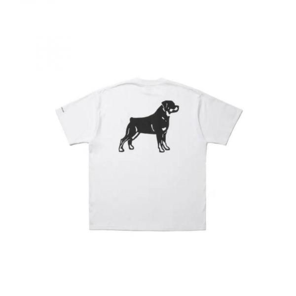 ROTTWEILER(åȥ磻顼)/B.D.C TEE