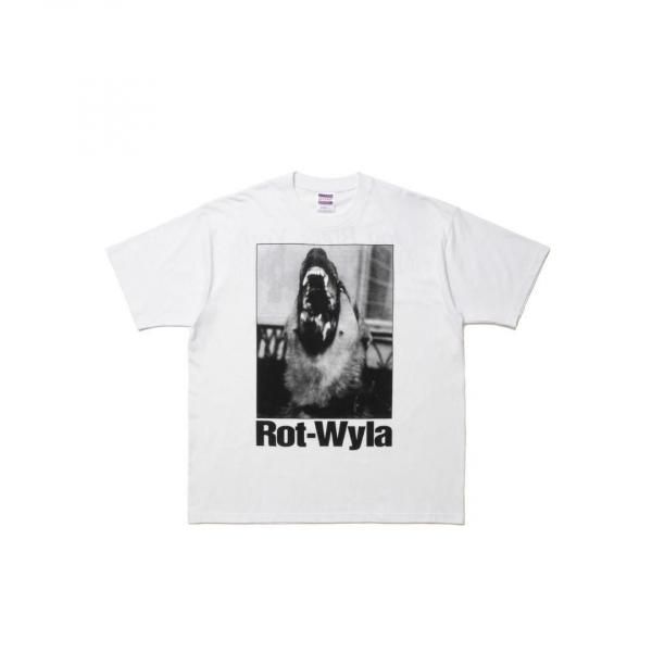 ROTTWEILER(åȥ磻顼)/DOG PHOTO TEE