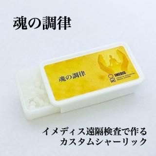 <img class='new_mark_img1' src='https://img.shop-pro.jp/img/new/icons15.gif' style='border:none;display:inline;margin:0px;padding:0px;width:auto;' />ĴΧ - ॷ㡼åǥ