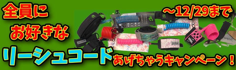 ボディボードの紹介ページ - ドルフィンズボディボード ファクトリー