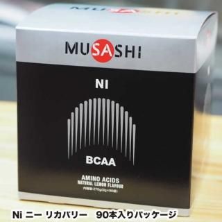 商品検索 - ドルフィンズボディボードファクトリー