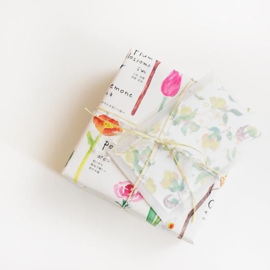 名刺サイズ トレーシング封筒 - Papermessaage 名刺サイズ トレーシング封筒 - Papermessaage