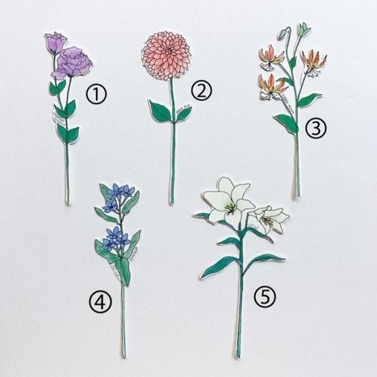 高知の花 一輪挿しカード Paper Message オンラインショップ 高知の花 一輪挿しカード Paper Message オンラインショップ