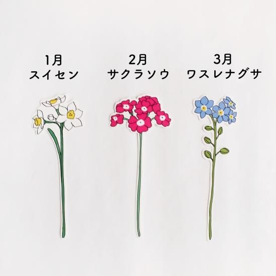 一輪挿しのカード 誕生花1月 6月 Papermessaage