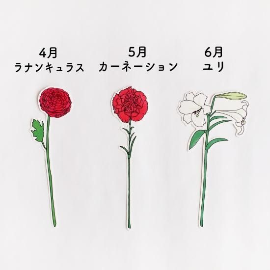 一輪挿しのカード 誕生花1月 6月 Papermessaage