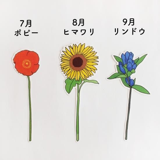 一輪挿しのカード 誕生花7月 12月 Papermessaage 一輪挿しのカード 誕生花7月 12月 Papermessaage