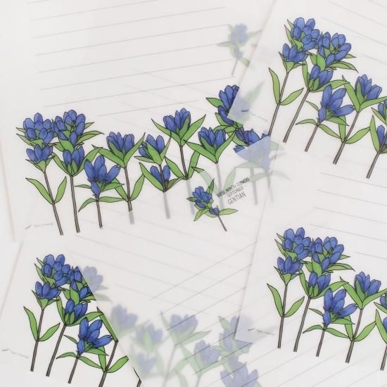 誕生花のすけすけ便箋 9月 リンドウ Papermessaage 誕生花のすけすけ便箋 9月 リンドウ Papermessaage