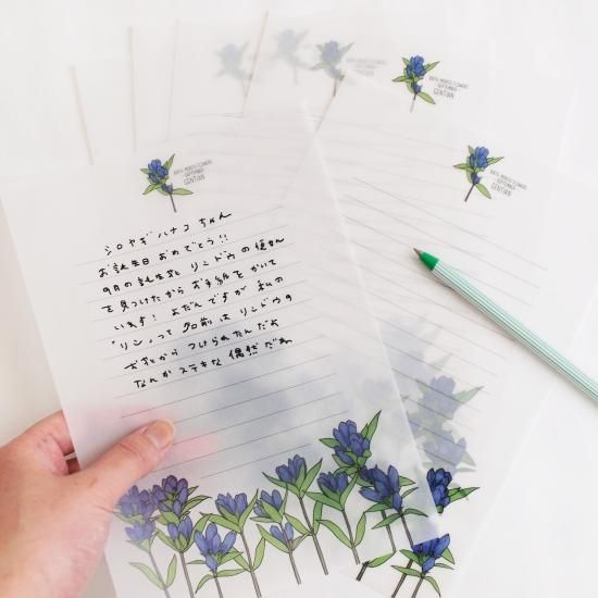 誕生花のすけすけ便箋 9月 リンドウ Papermessaage 誕生花のすけすけ便箋 9月 リンドウ Papermessaage