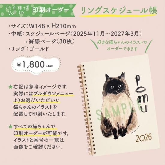 ڤǭvol.10ۥ󥰥塼Ģ