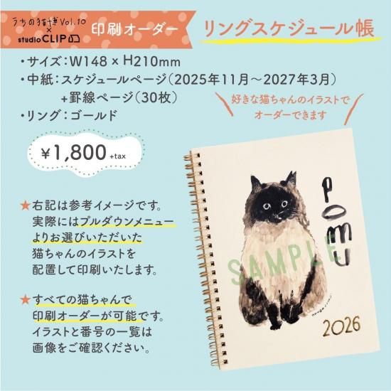 ڤǭ  studio CLIPۥ󥰥塼Ģ