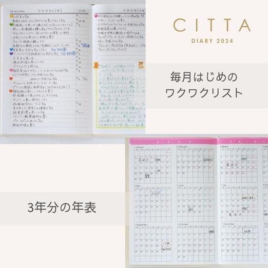 citta 2021 B6 ピュアホワイト　ネット完売品