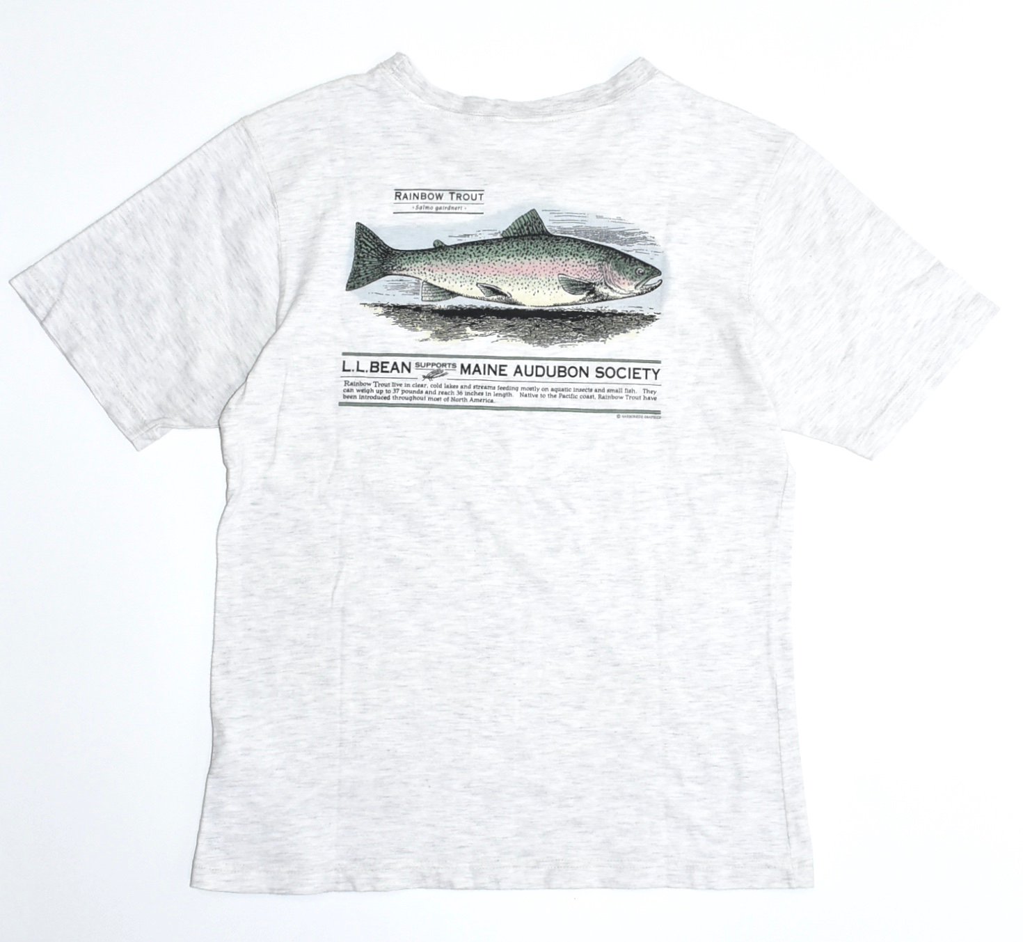 90s L.L.Bean Rainbow trout Tee M ɮΥ