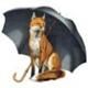 FOX UMBRELLASեå֥